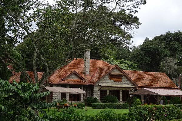 Nyeri