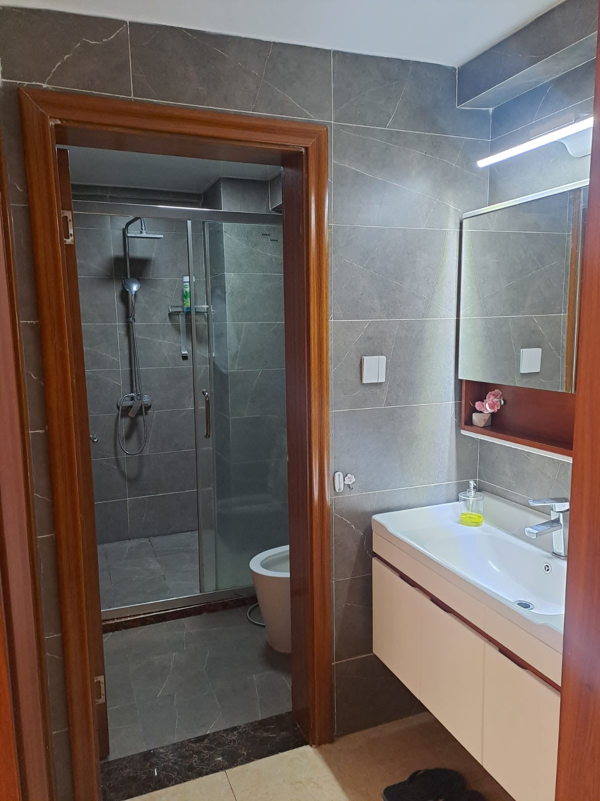 Nextgen Mall apartments 1BR South C